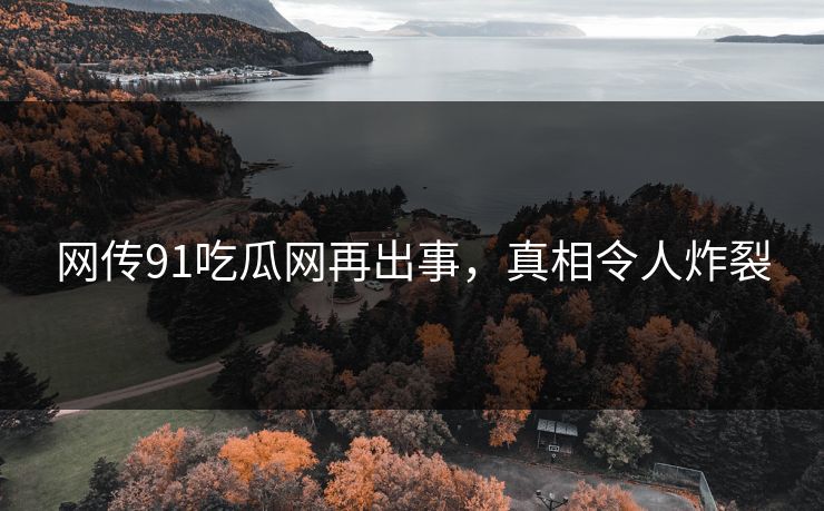 网传91吃瓜网再出事，真相令人炸裂