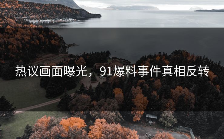 热议画面曝光，91爆料事件真相反转