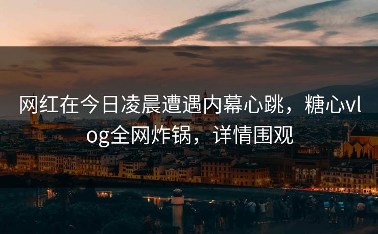 网红在今日凌晨遭遇内幕心跳，糖心vlog全网炸锅，详情围观