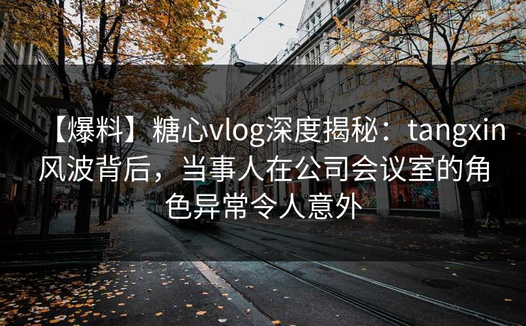【爆料】糖心vlog深度揭秘：tangxin风波背后，当事人在公司会议室的角色异常令人意外