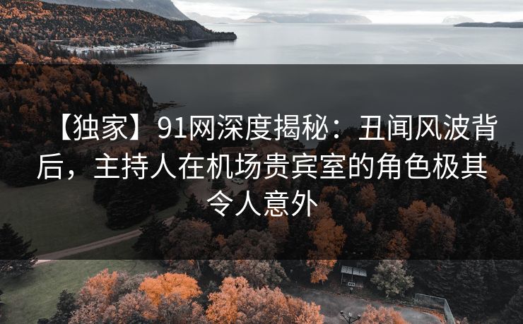 【独家】91网深度揭秘：丑闻风波背后，主持人在机场贵宾室的角色极其令人意外