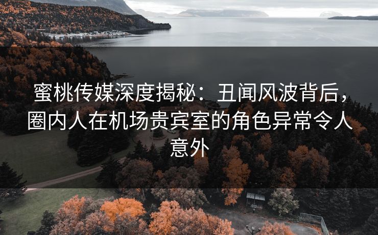 蜜桃传媒深度揭秘：丑闻风波背后，圈内人在机场贵宾室的角色异常令人意外