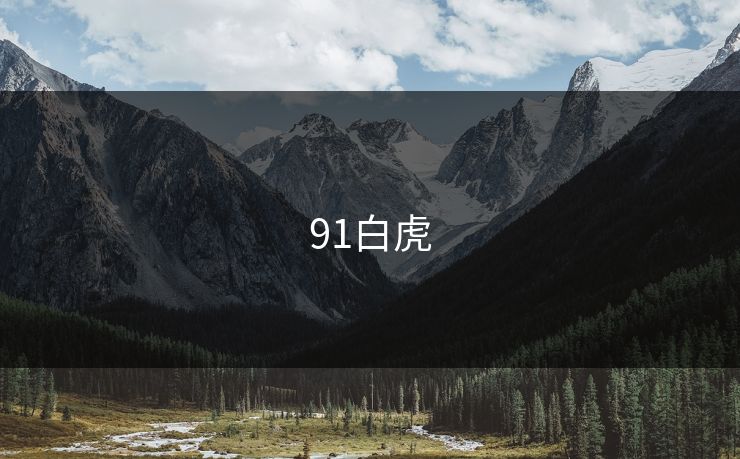91白虎